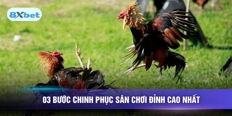 03 bước chinh phục sân chơi đỉnh cao nhất