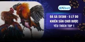 Đá Gà SV388 - 5 Lý Do Khiến Sân Chơi Được Yêu Thích Top 1