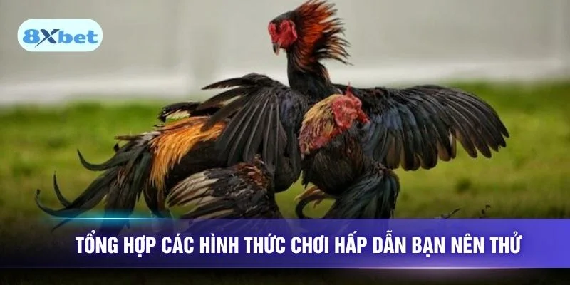 Tổng hợp các hình thức chơi hấp dẫn bạn nên thử